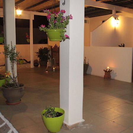 Elounda Olive Garden Apts & Studios Dış mekan fotoğraf