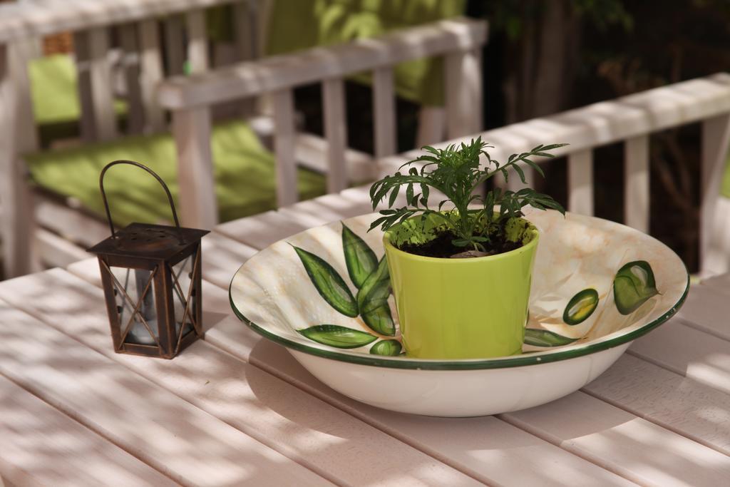 Elounda Olive Garden Apts & Studios Dış mekan fotoğraf