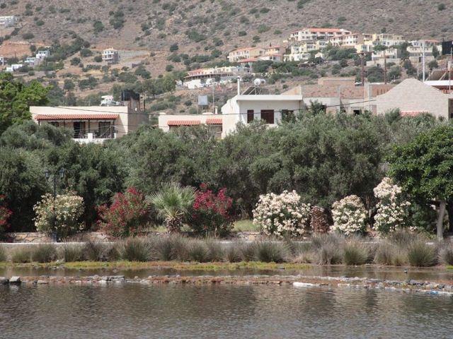 Elounda Olive Garden Apts & Studios Dış mekan fotoğraf