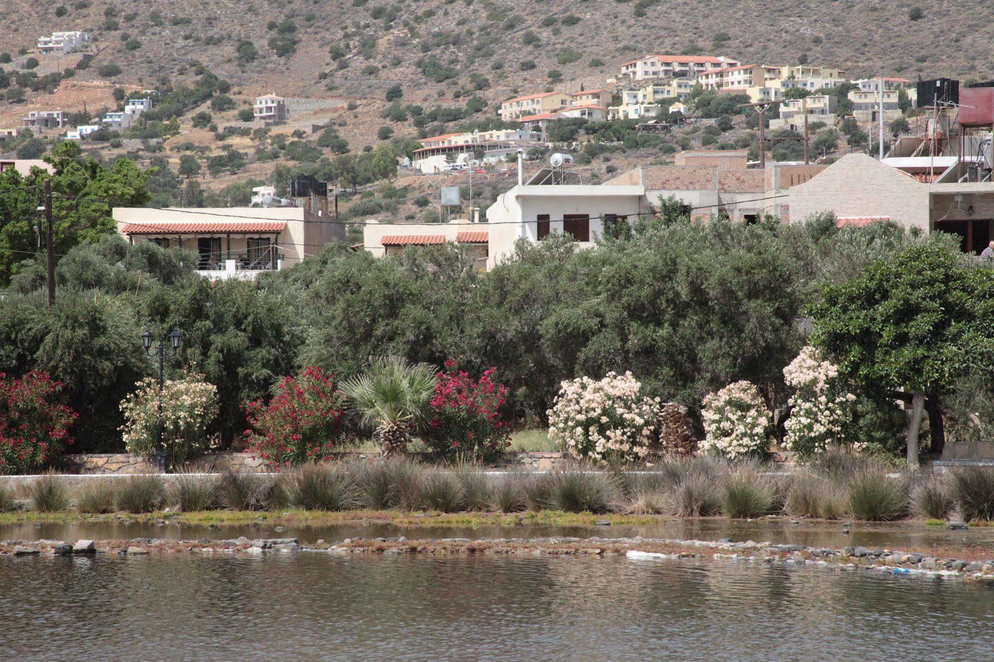 Elounda Olive Garden Apts & Studios Dış mekan fotoğraf
