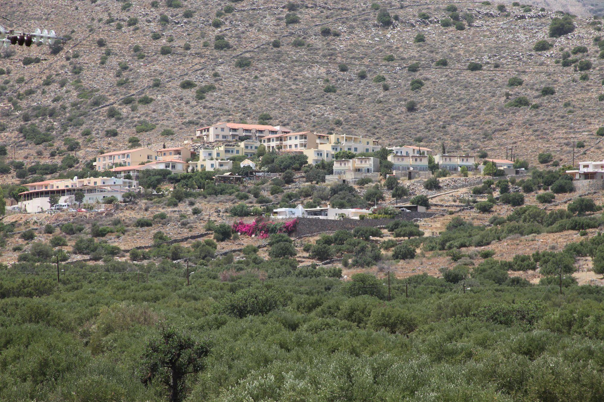 Elounda Olive Garden Apts & Studios Dış mekan fotoğraf